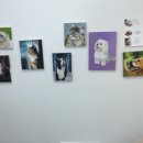 방배천로5-33 이미지