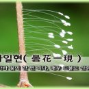 담화일현(曇花一現) 이미지