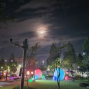 동백꽃 물들다 | (전북 군산) 근대화거리 및 역사 박물관, 미디어아트 축제(군산의 빛, 꽃으로 물들다) 후기 !