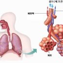 서내과의원 네이버블로그
