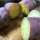 금순농장 이미지