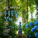 몽산포제빵소 | 태안 수국축제 어디가 좋을까? 6월 7월 꽃구경 여행 추천 팜카밀레 vs 몽산포제빵소 비교 후기