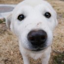 청평화이트펜션 이미지