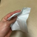 깨끗한나라 | 깨끗한나라_촉앤감 프리미엄 구매후기(화장지 영상 포함)