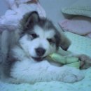 새로나슈퍼 이미지