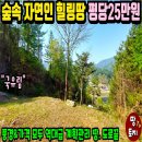 여주-0502 네이버블로그