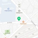 다둥 반려견 호텔 유치원 이미지