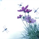 인덕원 무도장 이미지