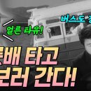 나룻배(1963년 제작) 장날풍경(1961년 제작) 이미지