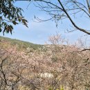 삼삼골프 | 진주 사천 9홀골프장 삼삼cc 라운드후기