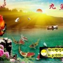 한국으뜸행정사 이미지