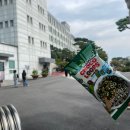 럽미몽 | 10월결산