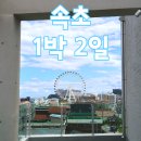 속초아이뷰 카페 유투, 문우당서림 (속초 1박 2일 혼자 여행 2편)