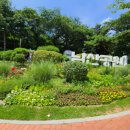 남산공원(정자아래) 이미지