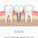 더뉴치과의원 이미지