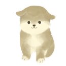 천안원광유치원 이미지