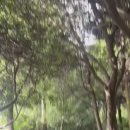 📹3일차 스케치 영상 이미지