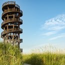 시흥 갯골생태공원 이미지