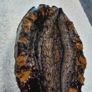 온덕2길 이미지