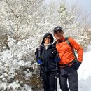 산들바람 이미지