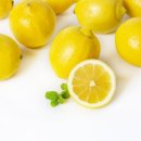 처음부터구강내과치과의원 이미지