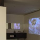 스테이 너울 이미지