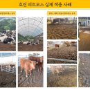 효진축산 이미지