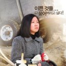 10월 16일(목) '미쓰 홍당무'(씨너스) 이미지