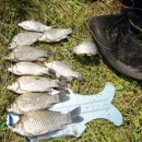 늘푸른낚시 이미지