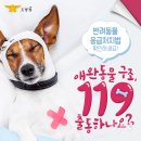 같이 이미지