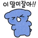 실내놀이터플레이키즈정글