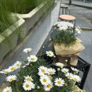 턴어라운드 | 전포카페_ 전포 플렌테리어 꽃집 겸 카페 턴어라운드 내돈내산 후기