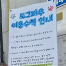 도그파우 이미지