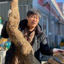 밥상스토리 이미지