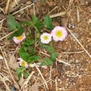 두원농장 이미지