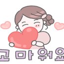 한강종합모터스