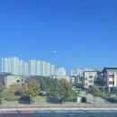 시흥 배곧 카공 공부하기 좋은 조용한 카페 추천 내돈내산