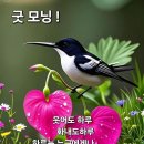 연향원 이미지