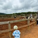 태유목장 이미지