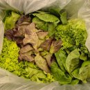 정진농장 이미지