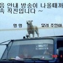 부산마트 - 경산시 | 부산마트