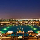 소노캄 고양 이미지