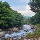 어치물놀이펜션 이미지