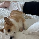 스테이온더힐 이미지