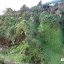 양수리 두물머리길 이미지