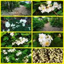 은혜병원 이미지