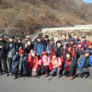 새울신협 Daum카페