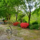 연화봉펜션 이미지