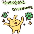 에클라 스킨 네이버블로그