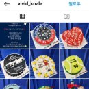 비비드코알라